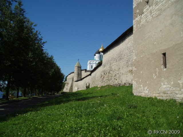 p7280611.jpg